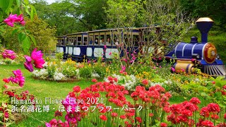 【Hamanako Flower Expo 2024】Lovely garden tour! Hamamatsu Flower Park!