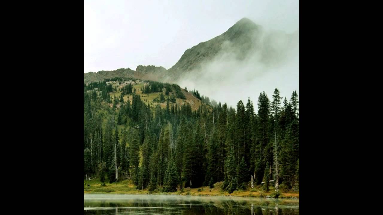 Evergreen Refuge - Removal, Solitude, Happiness [HD]