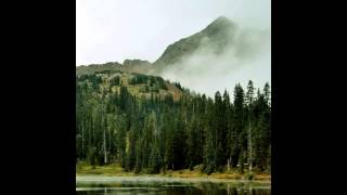 Evergreen Refuge - Removal, Solitude, Happiness