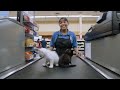 When you mistake kittens for groceries...