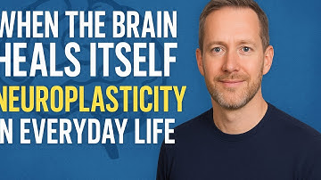 When The Brain Heals Itself: Neuroplasticity In Everyday Life