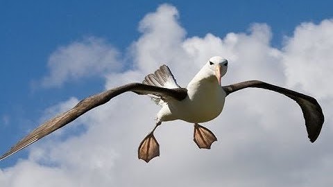 Methods in Evidence Synthesis Salon 21st June 2017