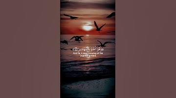 #القرآن_الكريم  آيات من كتاب الله ارح قلبك وسمعك  #تلاوة_خاشعة #راحة_نفسية #اكسبلور #لايك #تلاوات