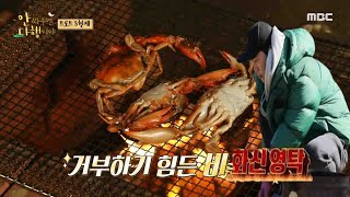 영탁  안싸우면 다행이야 ! 겁 많은 막내 찬원과 맏형 민호의 장어 손질 도전,점점 거세지는 빗줄기 배고픔에 굶주리는 트로트 삼형제!