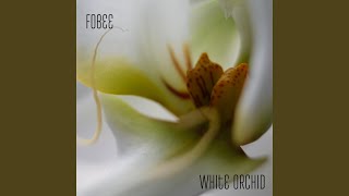 Peacock Feather screenshot 3