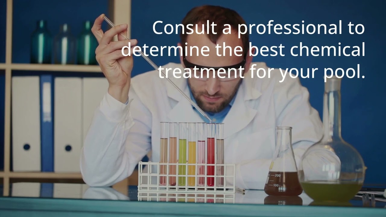 Pool Cleaning 101: The Basics Every Homeowner Should Know by We Surv Jacksonville