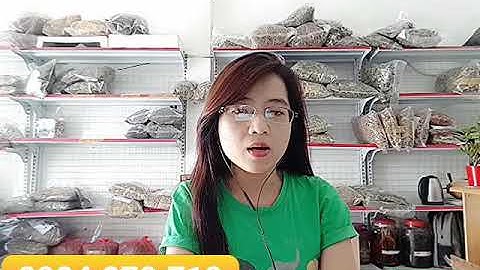 RƯỢU BẠCH TẬT LÊ - BIỆT DƯỢC CHỐN PHÒNG THE