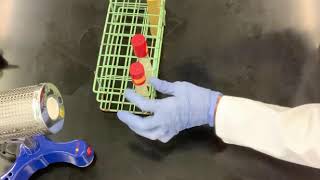 Lab 9: Motility