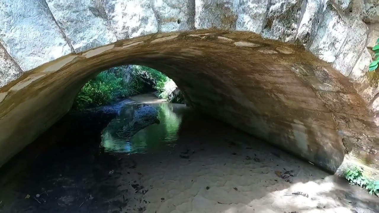 Torreya State Park: a short hike