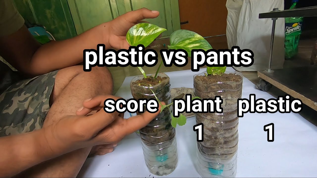plastic vs plant telugu vlog YouTube