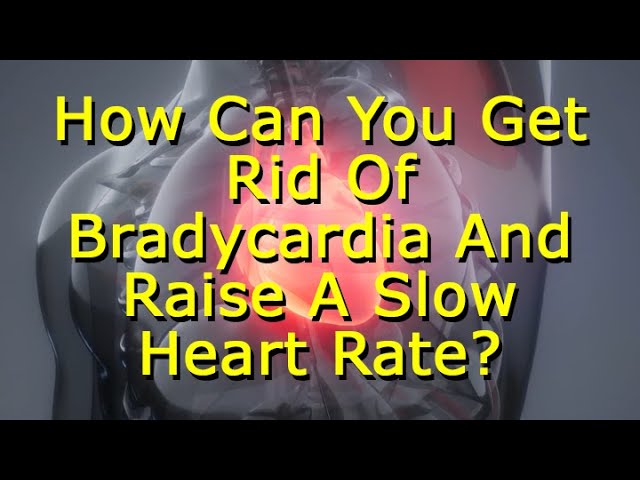 How Can You Get Rid Of Bradycardia And Raise A Slow Heart Rate? class=