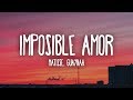 Miniature de la vidéo de la chanson Imposible Amor