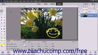 Photoshop Elements 2018 Tutorial Bitmap Images Adobe Training