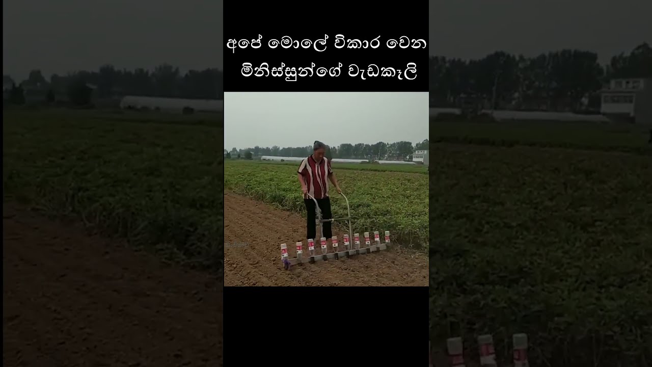 අපේ මොලේ විකාර වෙන මිනිස්සුන්ගේ වැඩකෑලි | Fastest and Most skilled workers | Davinchi | Epi 08