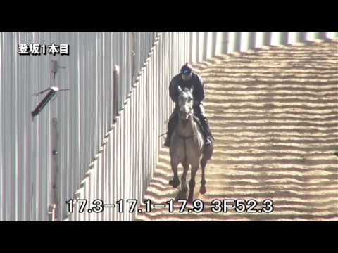 24 リバーサルフィルム（フォトジェニーの14） 16年5月