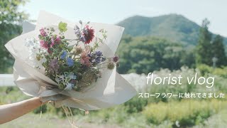 モモタマナ　沖縄県産　無農薬花が咲きました5年育成　屋内様に改良 mqdefault.jpg