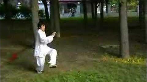 Cheng Shi Ba Gua Zhang - Zhanshen Qiang (Liu De Kuan Spear)