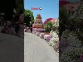 Beautiful 🇦🇪❤️🤘#miraclegarden #dubai #museumofthefuture #love #youtubeshorts #travel #india