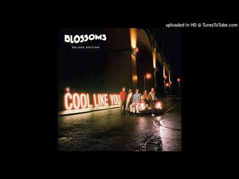 Blossoms - There's A Reason Why (I Never Returned Your Calls)