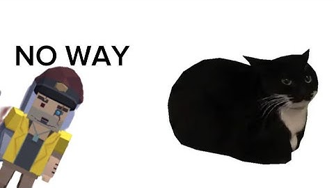 What if you could carry Maxwell the cat in ssb2? | Simple Sandbox 2 Animation ft. @uur_gaming