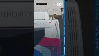 DOGE website shows two Columbus leases canceled