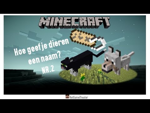 Video: Hoe Om 'n Lokval Vir Diere In Minecraft Te Maak