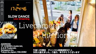 【Sat,05/18/2024 Livecamera at the florist】 スローダンス SLOWDANCE 等々力 尾山台 世田谷 Setagaya 東京 Tokyo 日本 Japan