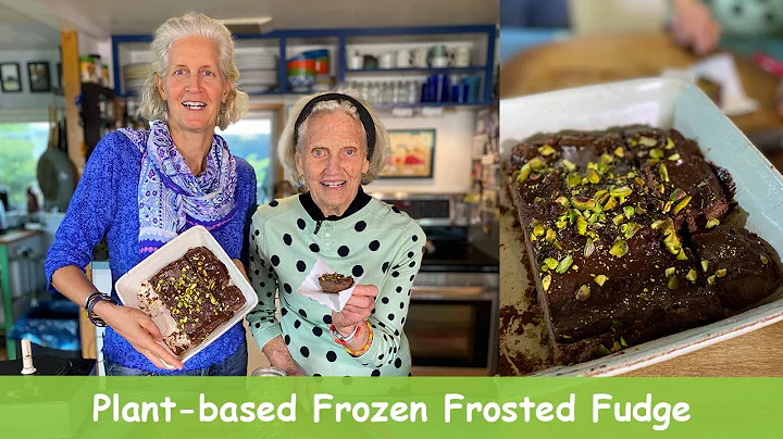 Plant-based Frozen Frosted Fudge