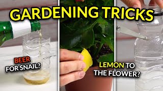 10 clever gardening tricks to make your plants grow like crazy!