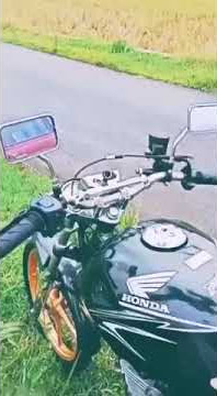 Story wa herex terbaru tiger priatin