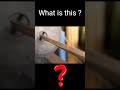 Mechanical Engineering Machines and Tools #engineering #shorts
