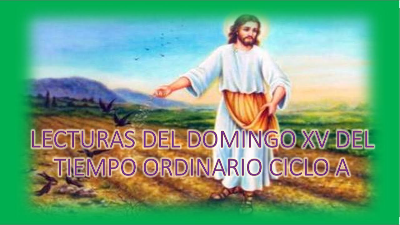 Lecturas del Domingo XV del Tiempo Ordinario Ciclo A YouTube