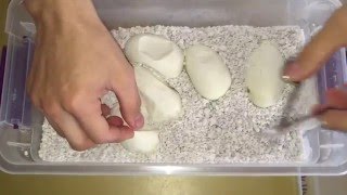 Blue Eyed Lucy Egg Cutting!