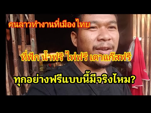 ผลสลากกินแบ่งรัฐบาล วันที่ 1 พย. 2567