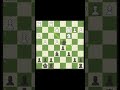 That's forked! #beginnerchess #learnchess #chessforbeginners #chessfun #checkmate