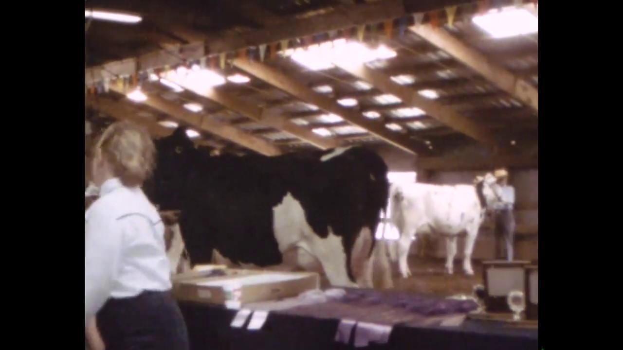 6.16 Travis Hiatt & Others Showing Dairy (1987)