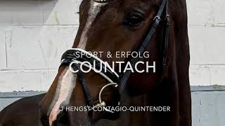 Download Lagu Countach two year old stallion MP3 Download Lagu Countach two year old stallion MP3