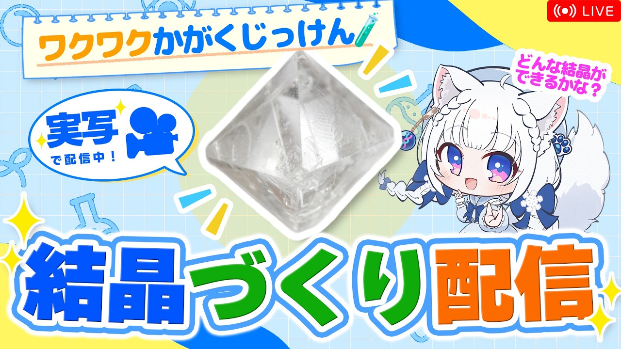 【#2 手元実写】『科学と学習』の付録で、『結晶』を作ろう！【北国ここな/獣医Vtuber/ワクワク科学実験/雑談配信2】
