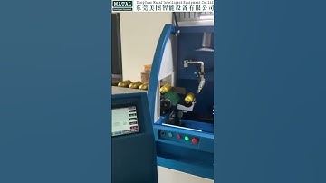 Fully Automatic Two Color Servo Bottle Screen Printing Machine #screenprintingmachine