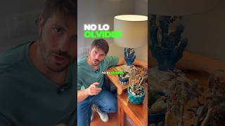 Las Plantas Necesitan Luz, No Lo Olvides