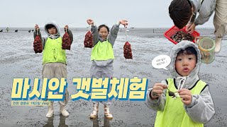 [Incheon Yeongjongdo Vlog✨] Masian Mudflat Experience🦪 | Incheon National Maritime Museum | Wonde...