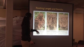 Managing Your Soils for Better Yields and Economics