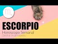 ESCORPIO! ♏️ NO DUDES MÁS 🤩💝🤩TE LLEGA UNA SEÑAL DE TU AMOR🙏💕