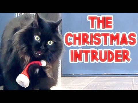 The Christmas Intruder