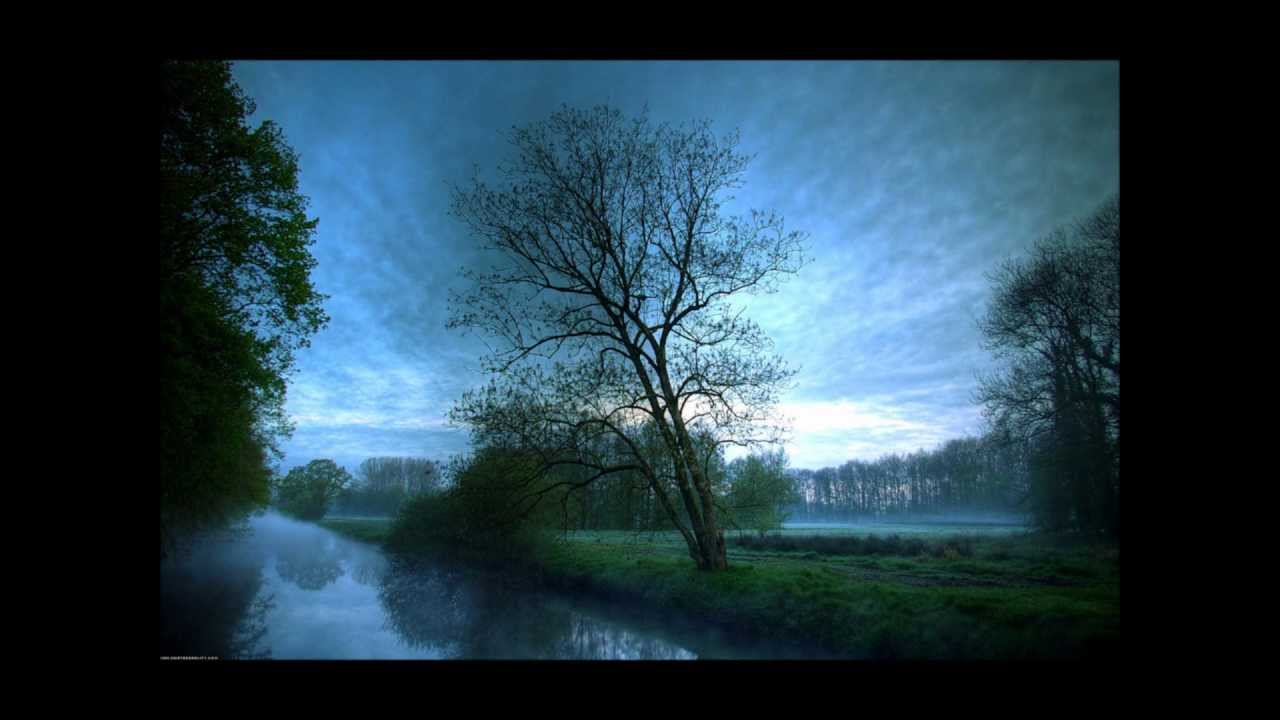 Backbazz - Basic Music