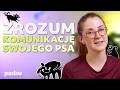 Machanie ogonem to NIE zawsze radość! 🛑 Poznaj mowę ciała swojego psa