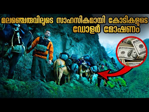 മോഷണം നടത്തിയെങ്കിലും കഷ്ടപ്പാട് അതിനുശേഷം🥵🥵🥵 @Mallu Explainer