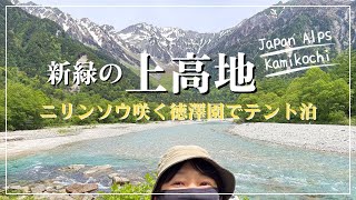 草と山 トリックスター / Ninja ZX-25R(23-25)レーシングフルエキゾースト