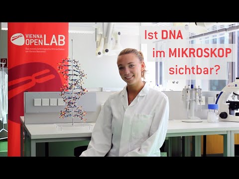 Video: Warum kann man die mikroskopische DNA ohne Mikroskop sehen?