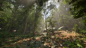 MAWI Realistic Forests | UE5